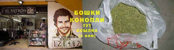 mdpv Бородино