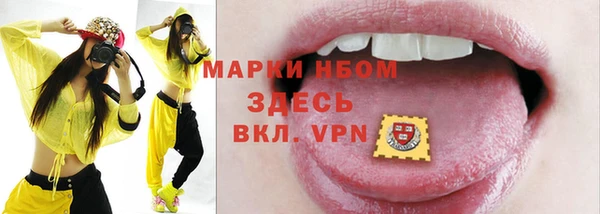 mdpv Бородино