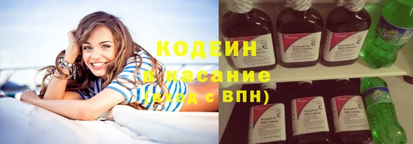 mdpv Бородино