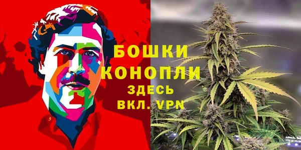 mdpv Бородино