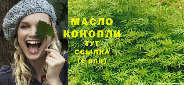 mdpv Бородино