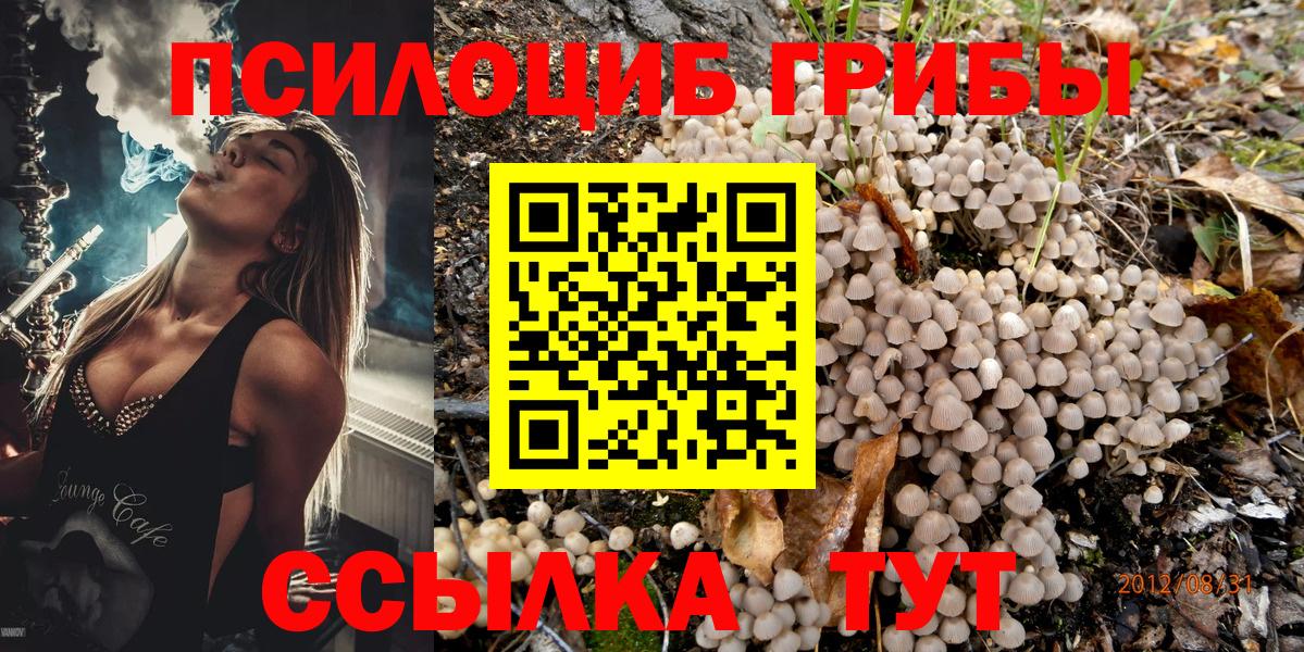 Галлюциногенные грибы GOLDEN TEACHER  Вход с VPN  Псилоцибиновые грибы Psilocybine cubensis  Балабаново 